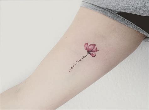 resiliência em latim tatuagem Encontre e salve ideias sobre resiliência tatuagem no Pinterest